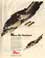 WW2 aviation related magazine ads