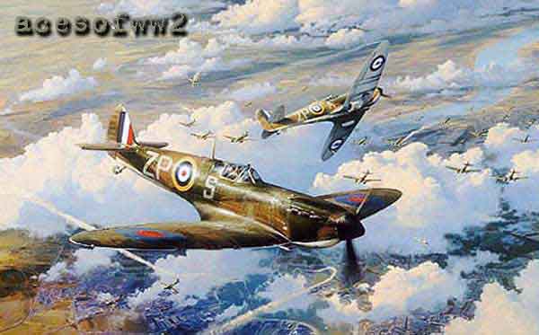 Height of the Battle by Robert Taylor