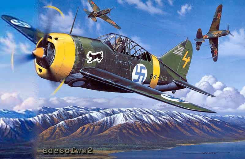 Buffalo Ace by Stan Stokes