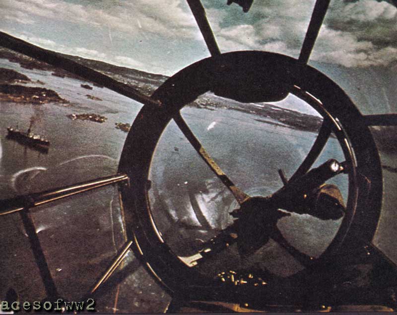 Gunner's View