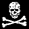 the Jolly Rogers Squadron