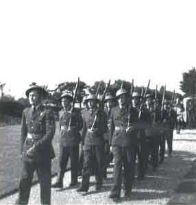 Alex on Parade